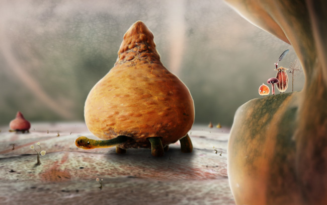 Обои картинки фото фэнтези, существа, персонажи, botanicula, ростки, листья, черепаха