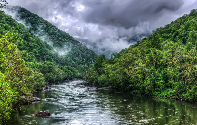 Обои картинки фото природа, реки, озера, река, лес