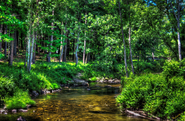 Обои картинки фото природа, реки, озера, лес, река