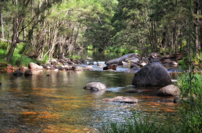 Обои картинки фото природа, реки, озера, река, лес