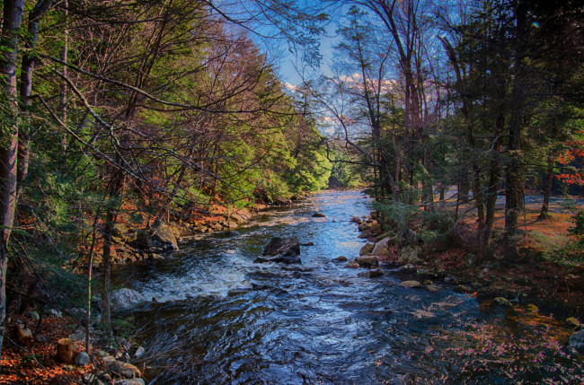 Обои картинки фото природа, реки, озера, река, лес