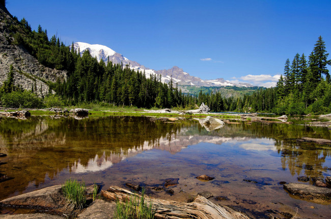 Обои картинки фото природа, реки, озера, река, лес