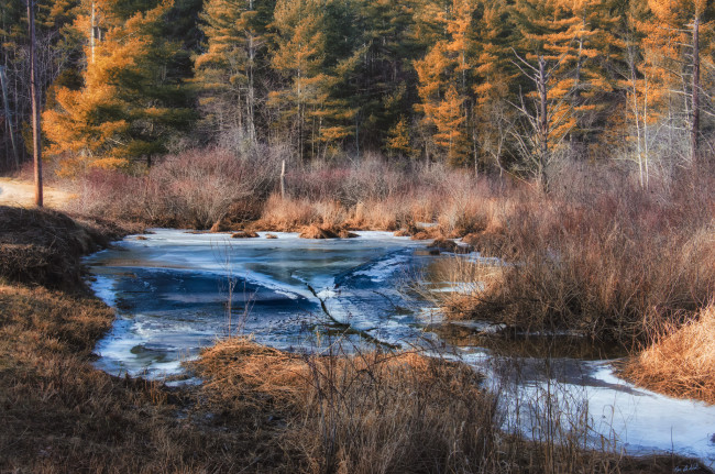 Обои картинки фото природа, реки, озера, река, лес