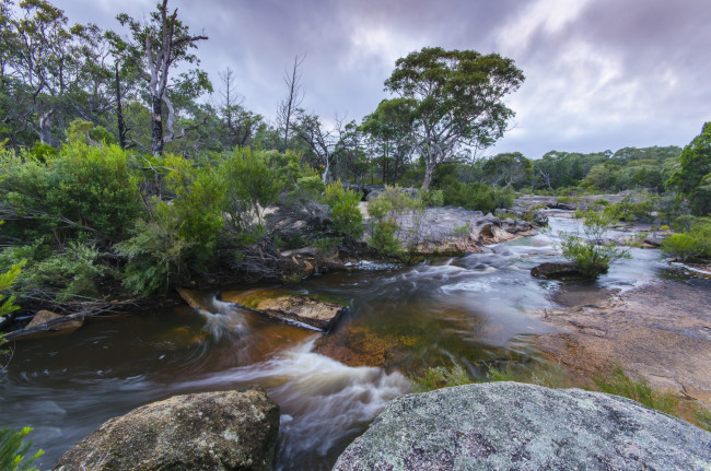 Обои картинки фото природа, реки, озера, река, лес