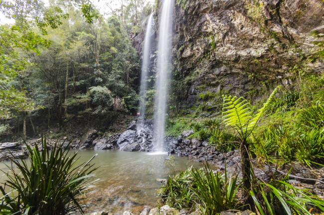 Обои картинки фото природа, водопады, водопад, лес, река
