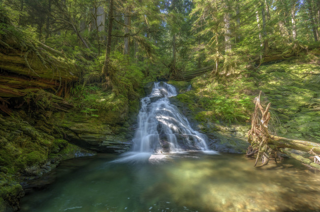 Обои картинки фото природа, водопады, лес, водопад, река