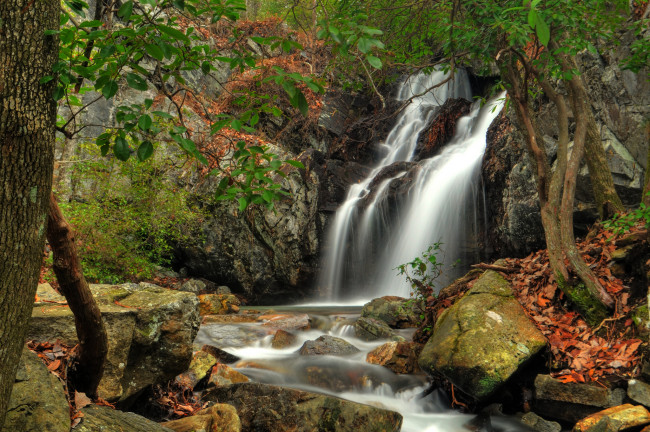 Обои картинки фото природа, водопады, река, водопад, лес