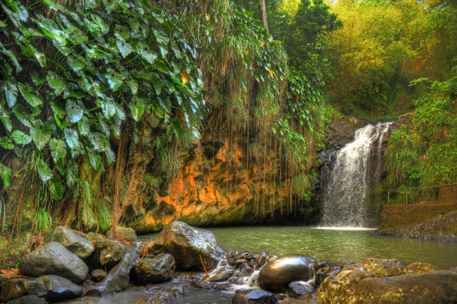 Обои картинки фото природа, водопады, водопад, река, лес