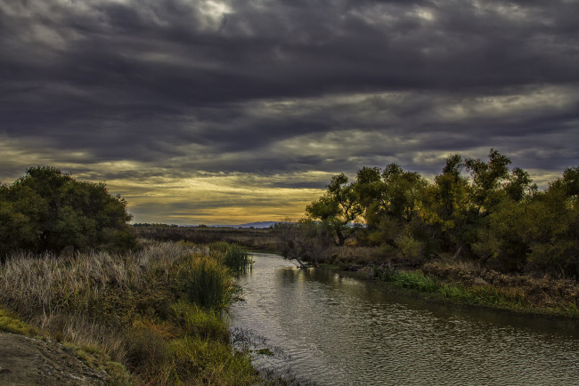 Обои картинки фото природа, реки, озера, река, лес