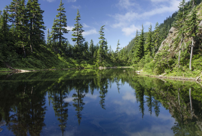 Обои картинки фото природа, реки, озера, река, лес