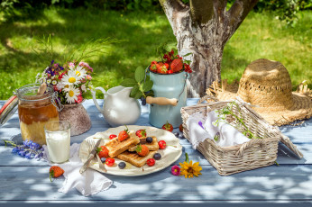 Картинка еда разное ягоды мед гренки молоко пикник шляпа