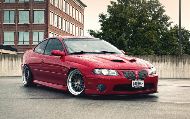 Обои картинки фото автомобили, pontiac, gto