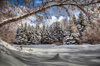 Картинка природа зима снег