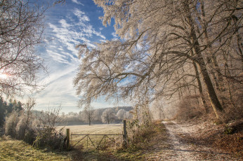 Картинка природа дороги дорога деревья иней