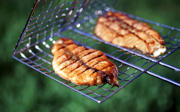 Картинка еда шашлык +барбекю мясо барбекю решетка