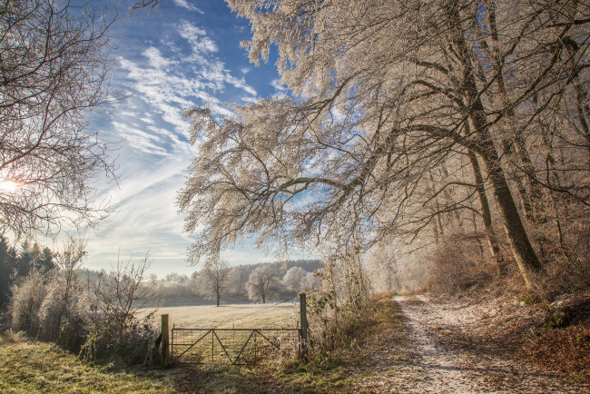 Обои картинки фото природа, дороги, дорога, деревья, иней