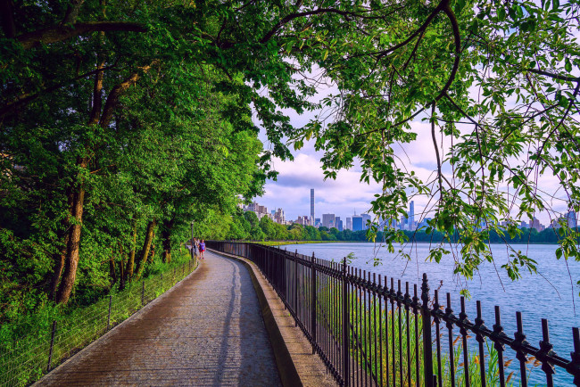 Обои картинки фото природа, парк, сша, нью-йорк, центральный, города