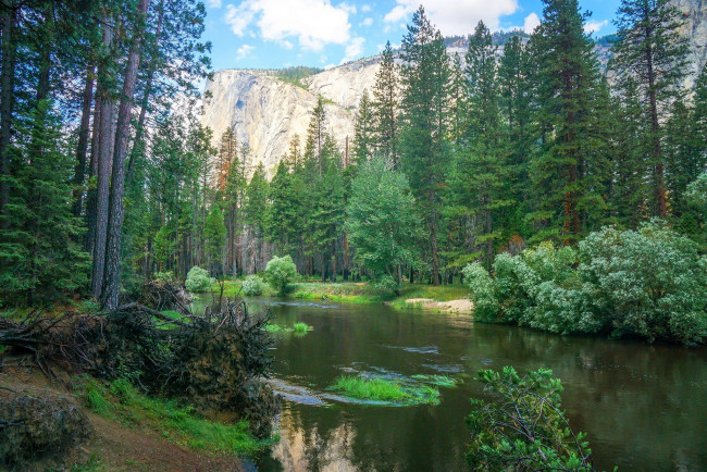 Обои картинки фото природа, реки, озера, йосемитский, национальный, парк, yosemite, national, park