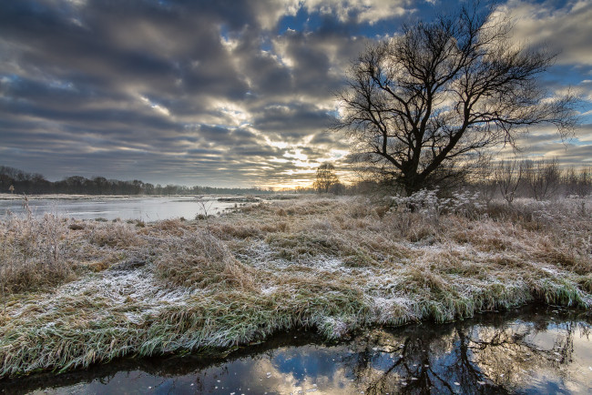 Обои картинки фото природа, реки, озера, река, лес