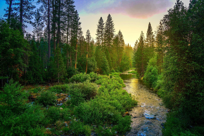 Обои картинки фото природа, реки, озера, yosemite, national, park, йосемитский, национальный, парк