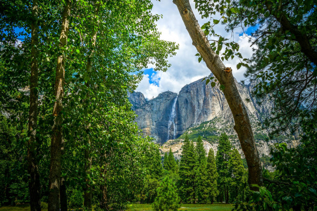 Обои картинки фото природа, водопады, yosemite, national, park, йосемитский, национальный, парк