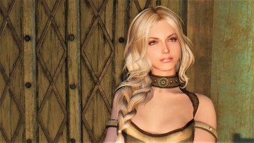 Картинка видео+игры the+elder+scrolls+v +skyrim skyrim девушки компаньонки игры диана