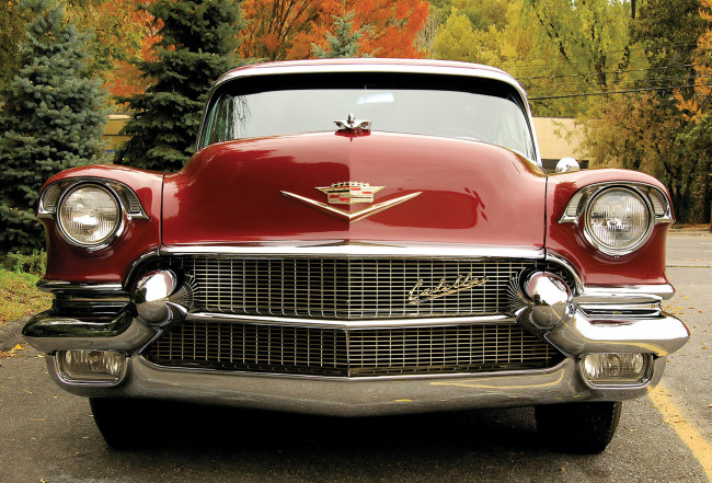 Обои картинки фото cadillac maharani special 1956, автомобили, cadillac, maharani, special, 1956
