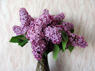 Картинка цветы сирень букет