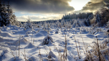 Картинка природа зима снег