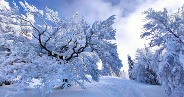 Картинка природа зима снег сугробы