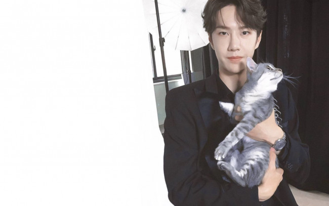 Обои картинки фото мужчины, wang yi bo, ван, ибо, wang, yi, bo