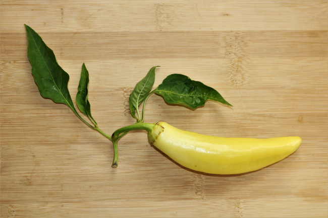 Обои картинки фото еда, перец, перчик, стручок