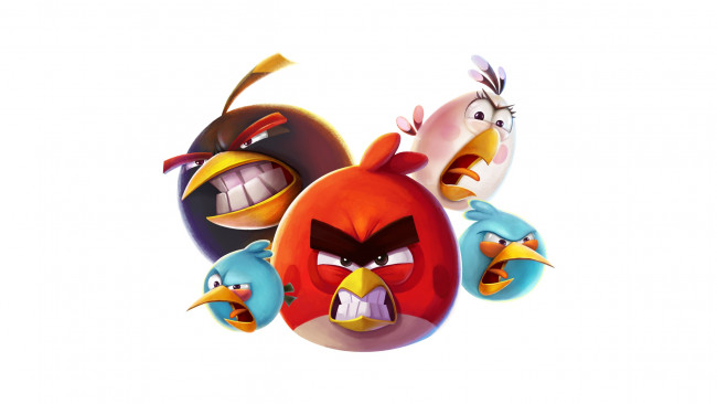 Обои картинки фото видео игры, angry birds 2, птицы, игры, обои, игра, картинки, белый, фон, wallpaper, angry, birds, на, рабочий, стол, rovio, дисплея, злые, 2