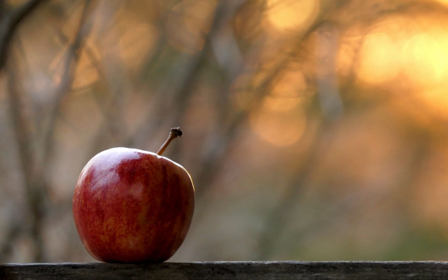 Обои картинки фото еда, яблоки, яблоко