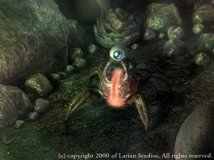 Картинка видео игры divine divinity