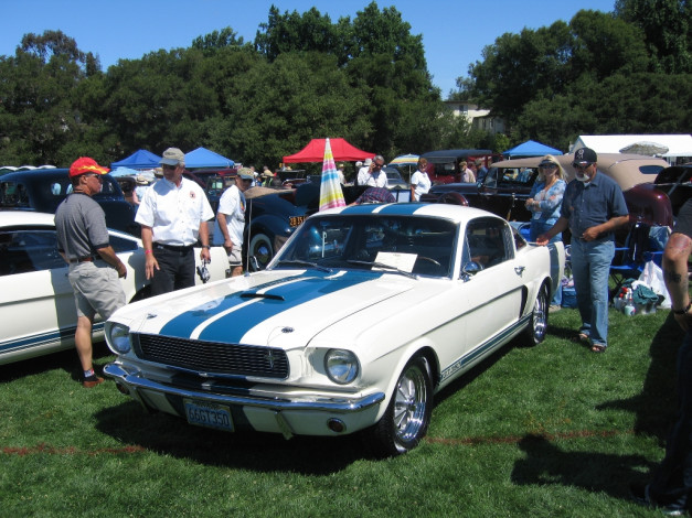 Обои картинки фото автомобили, ford