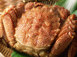 Картинка еда рыба морепродукты суши роллы