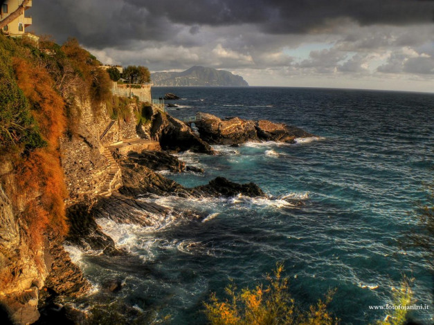 Обои картинки фото 