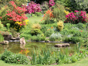 Картинка природа парк водоем камни цветущие кусты