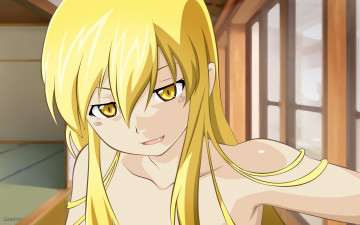 Картинка аниме bakemonogatari девушка oshino+shinobu помещение