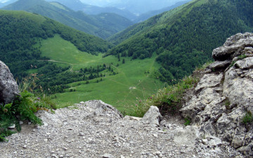 Картинка природа горы трава камни лес