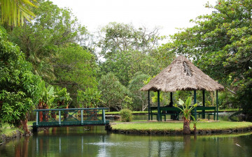 Картинка природа парк водоем зелень мостик беседка