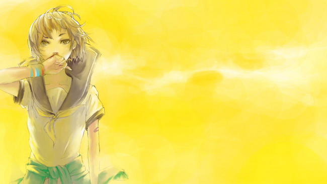 Обои картинки фото аниме, persona, 4, satonaka, chie