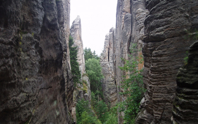 Обои картинки фото природа, горы, деревья, скалы, ущелье