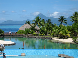 Картинка французская полинезия природа тропики море пальмы