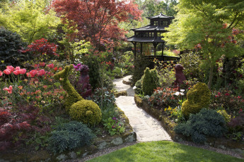 Картинка природа парк японский сад