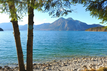 Картинка германия бавария Яхенау природа реки озера берег река