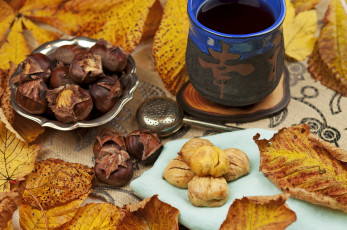 Картинка еда орехи каштаны