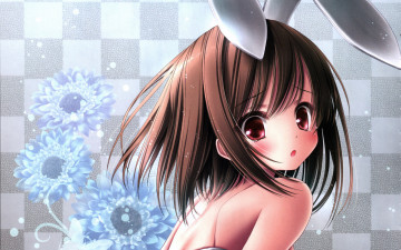 Картинка аниме ro kyu bu баскетбольный клуб ro-kyu-bu tinkerbell