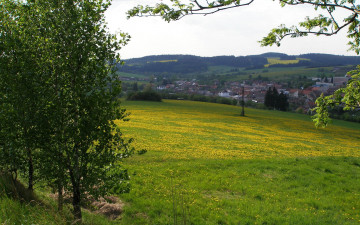 Картинка природа луга холмы городок луг цветы